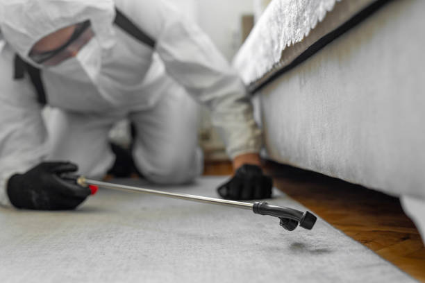 Professional Termite Control technician working in Point, TX